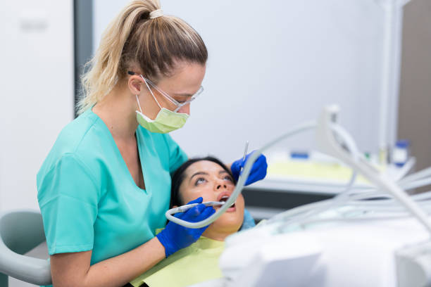Best Emergency X-Rays and Diagnostics in Rockwood, TN